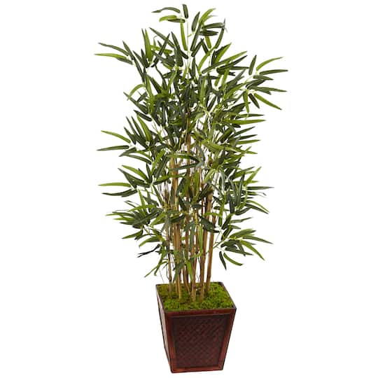 4ft. Bamboo Tree in Bamboo Square